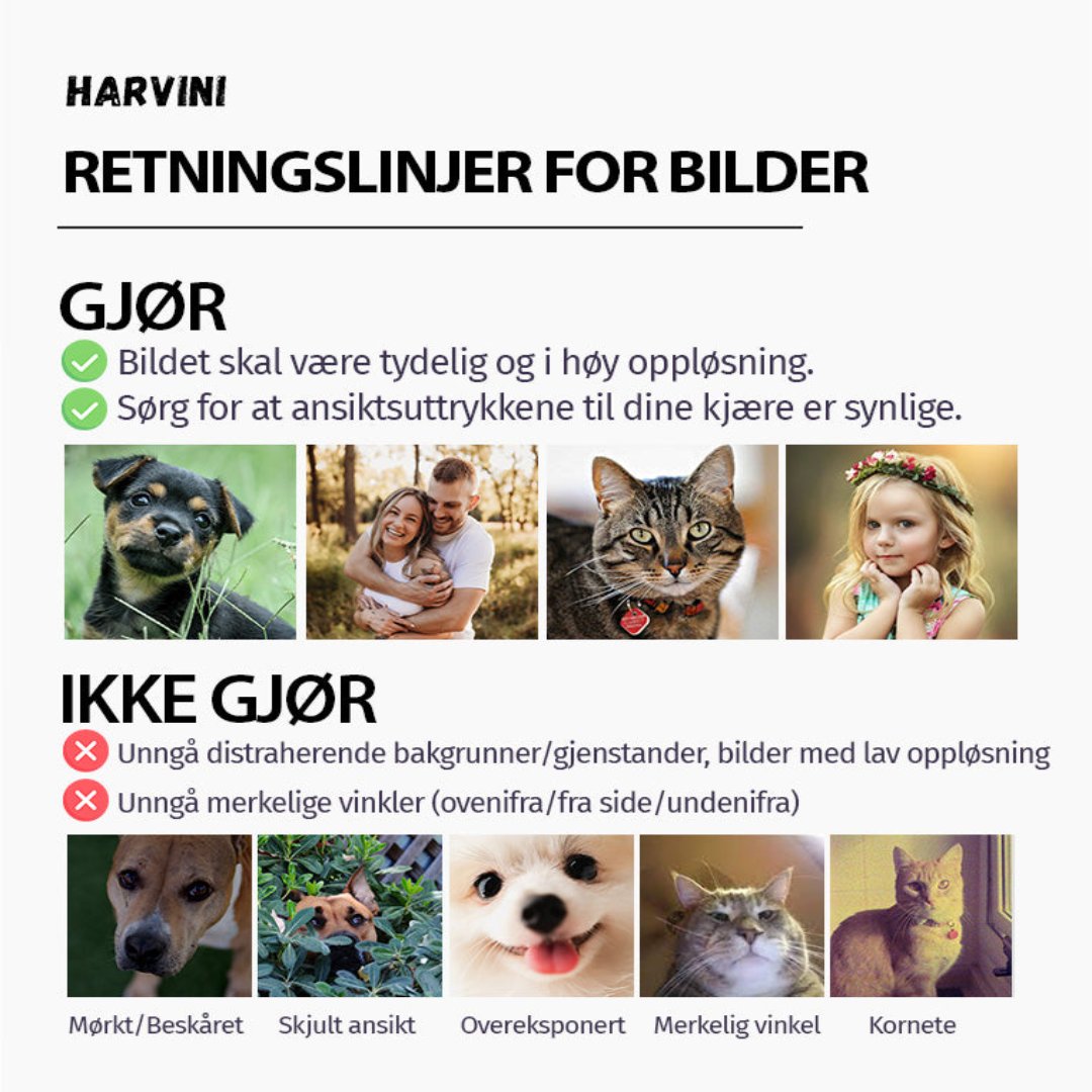 Besøkende må godkjennes av - Gave til kjæledyrseiere - Personlig dørmatte